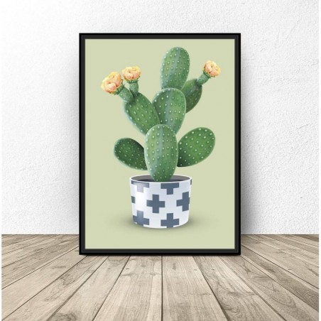 Graphics with a green cactus