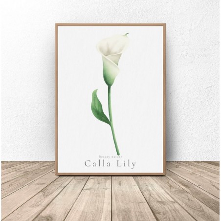 Poster "White Calla"
