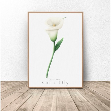 Set of three "White Callas" posters