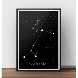 Plakat z gwiazdozbiorem Wielkiego Psa towarzysza Oriona z nazwą łacińską 
