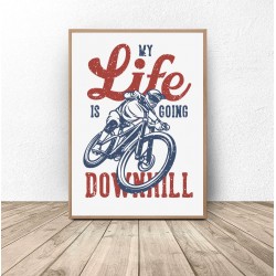 Plakat "My life is going downhill"