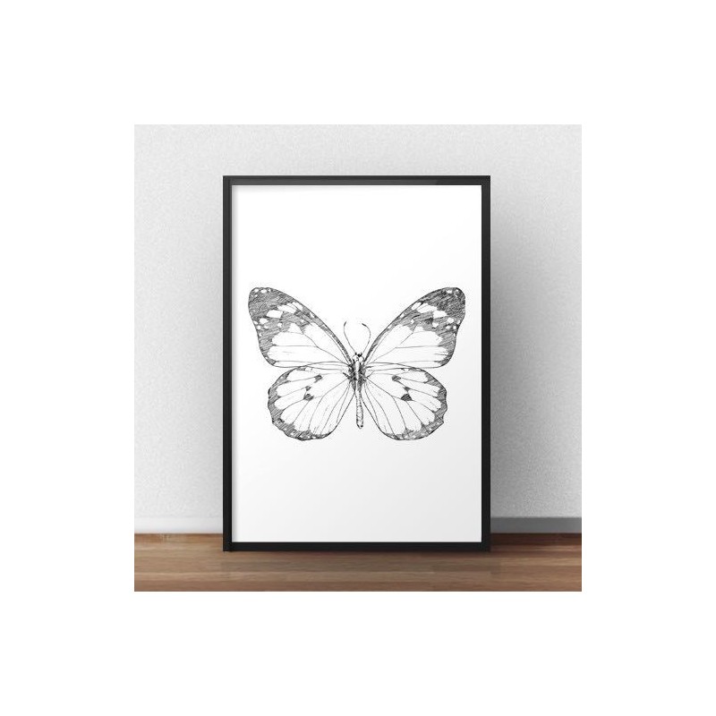 Plakat z motylem Motyl - szkic