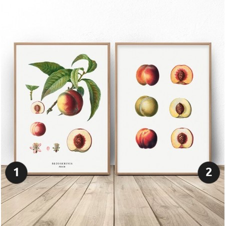 Set of Two Peaches Kitchen Posters - Wall Art | Scandi Poster