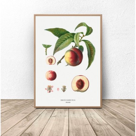 Set of Two Peaches Kitchen Posters - Wall Art | Scandi Poster
