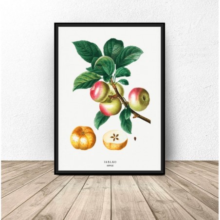 Poster for the Dining Room and Kitchen Apples - Wall Art | Scandi Poster