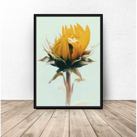 Roślinny plakat "Słonecznik"