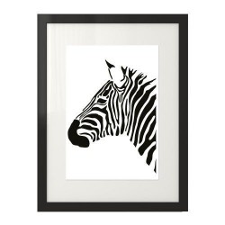 Plakat z zebrą "Lewy profil zebry"