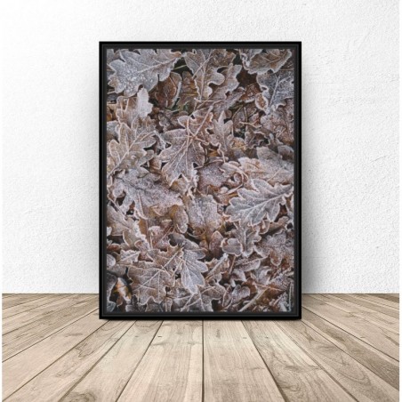 Photo poster "Frozen leaves"