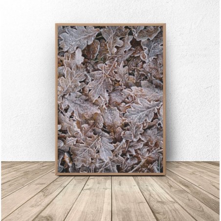 Photo poster "Frozen leaves"