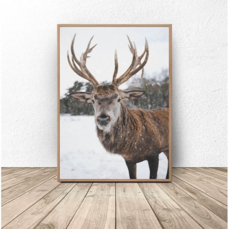 Photographic Poster "Winter Deer" - Wall Graphics | Scandi Poster