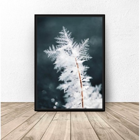 Winter Poster "Ice Twig" - Wall Graphics | Scandi Poster