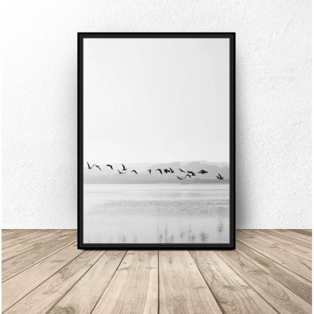 Decorative poster "Birds by the lake"