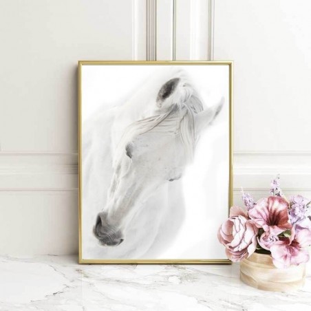 Poster with a white horse "White horse" 50x70