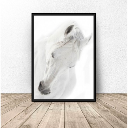 Plakat z białym koniem "White horse" 50x70