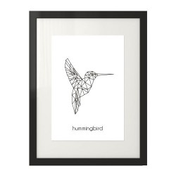 Plakat z kolibrem "Hummingbird" 50x70