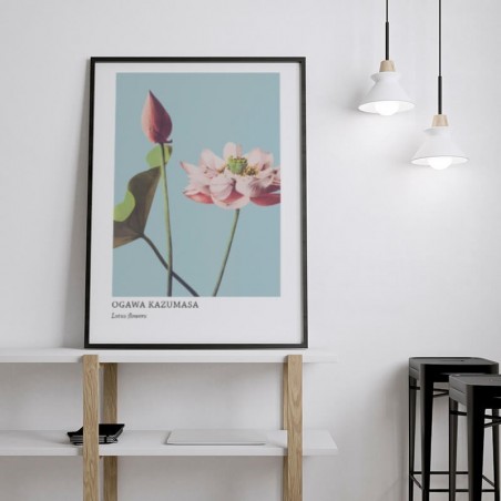 Reprodukce plakátu "Lotosové květy" od Ogawa Kazumasy