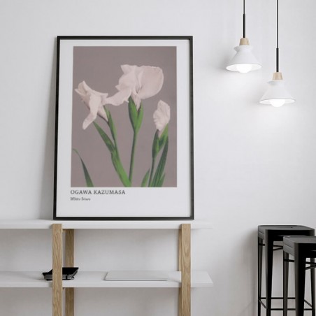 Plakat reprodukcja "White Irises" Ogawa Kazumasa