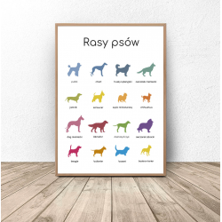 Plakat Montessori "Rasy psów"