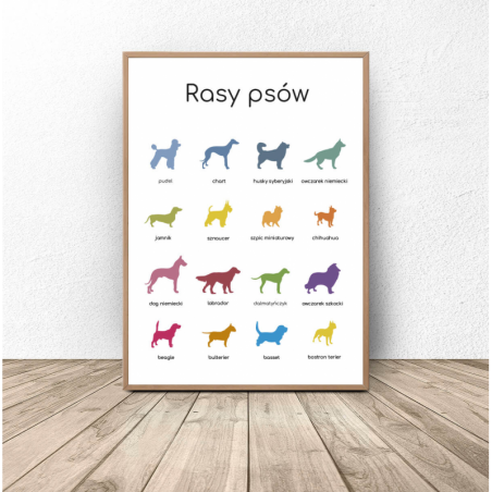 Montessori poster for children with a presentation of 16 dog breeds