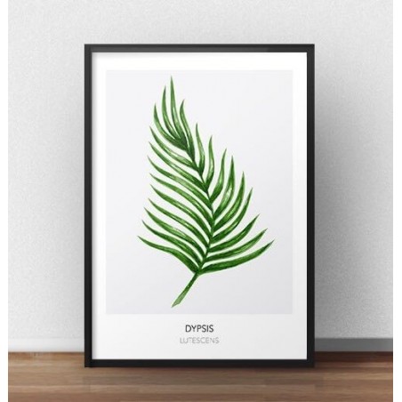 Scandinavian wall poster with a leaf "Dypsis lutescens"