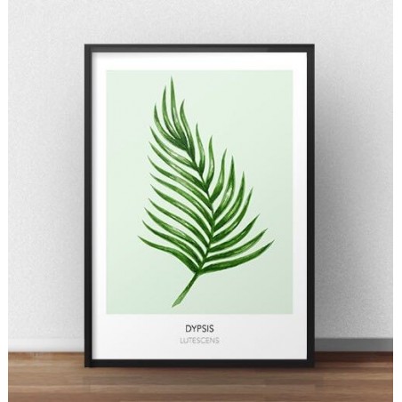 Skandinávský plakát se zelenou rostlinou "Dypsis lutescens" k zavěšení na zeď